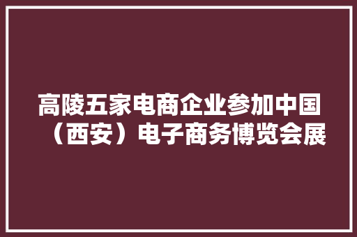 高陵五家电商企业参加中国（西安）电子商务博览会展现高陵风姿