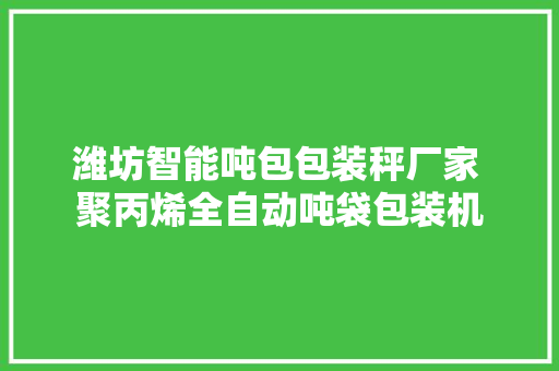 潍坊智能吨包包装秤厂家 聚丙烯全自动吨袋包装机
