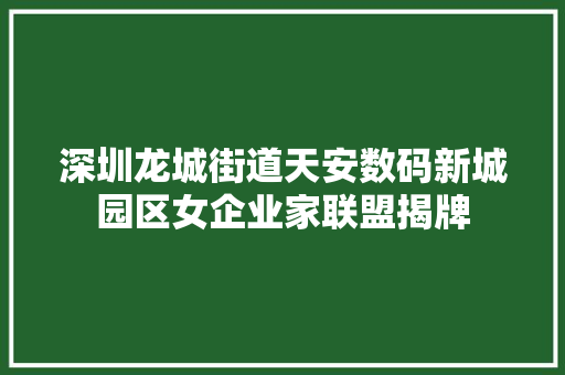 深圳龙城街道天安数码新城园区女企业家联盟揭牌 深圳龙城街道天安数码新城园区女企业家联盟揭牌 人工智能