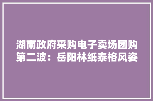 湖南政府采购电子卖场团购第二波：岳阳林纸泰格风姿办公用纸