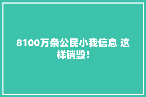 8100万条公民小我信息 这样销毁！