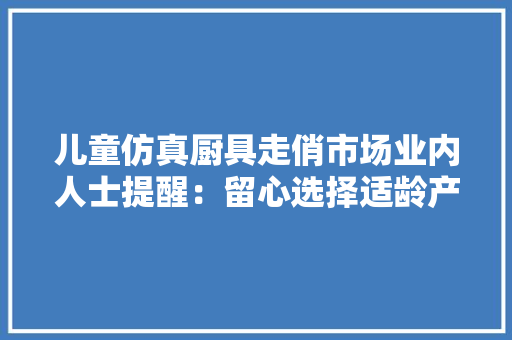 儿童仿真厨具走俏市场业内人士提醒：留心选择适龄产品做好监护与指导