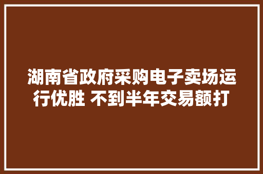 湖南省政府采购电子卖场运行优胜 不到半年交易额打破1亿元