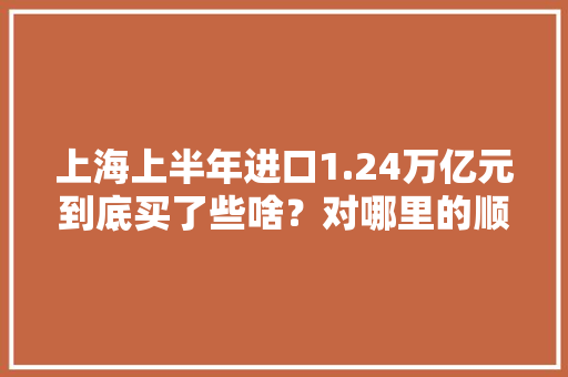 上海上半年进口1.24万亿元到底买了些啥？对哪里的顺差最多？