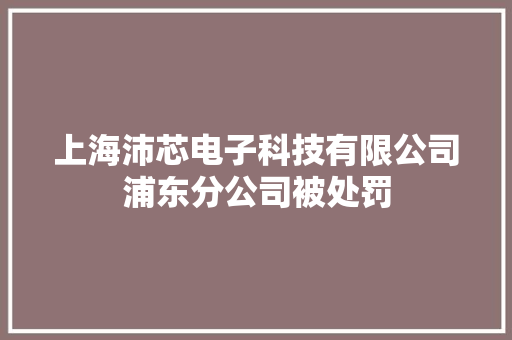上海沛芯电子科技有限公司浦东分公司被处罚