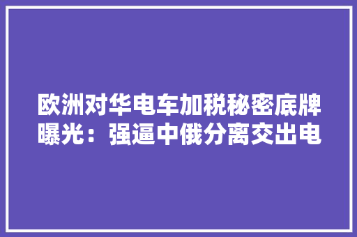 欧洲对华电车加税秘密底牌曝光：强逼中俄分离交出电池配方