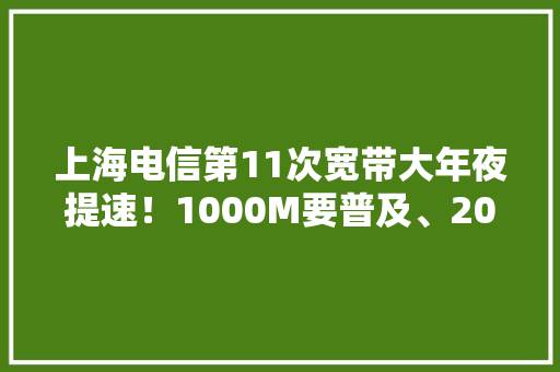 上海电信第11次宽带大年夜提速！1000M要普及、2000M也来了