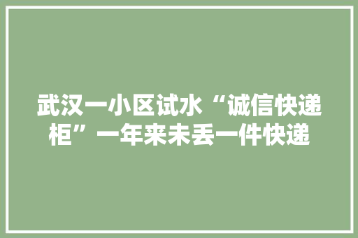 武汉一小区试水“诚信快递柜”一年来未丢一件快递