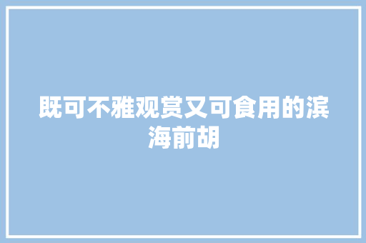 既可不雅观赏又可食用的滨海前胡