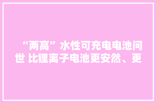 “两高”水性可充电电池问世 比锂离子电池更安然、更便宜