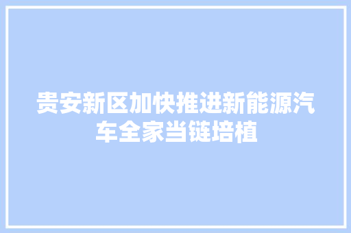 贵安新区加快推进新能源汽车全家当链培植