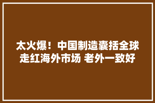 太火爆！中国制造囊括全球走红海外市场 老外一致好评