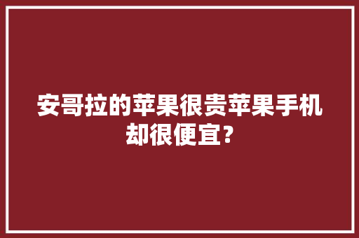 安哥拉的苹果很贵苹果手机却很便宜？