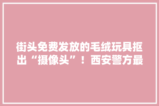 街头免费发放的毛绒玩具抠出“摄像头”！西安警方最新回应