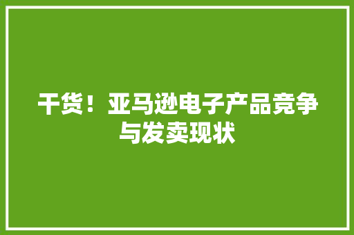 干货！亚马逊电子产品竞争与发卖现状