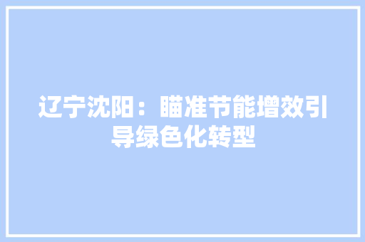 辽宁沈阳：瞄准节能增效引导绿色化转型