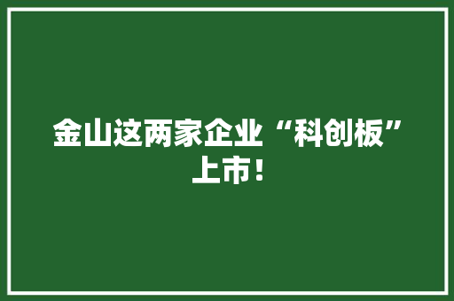 金山这两家企业“科创板”上市！