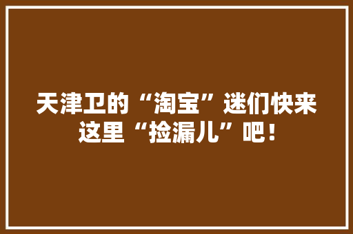 天津卫的“淘宝”迷们快来这里“捡漏儿”吧！