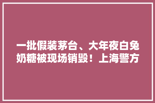 一批假装茅台、大年夜白兔奶糖被现场销毁！上海警方抓获700余名嫌疑人