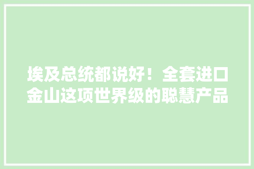 埃及总统都说好！全套进口金山这项世界级的聪慧产品价值1.38亿