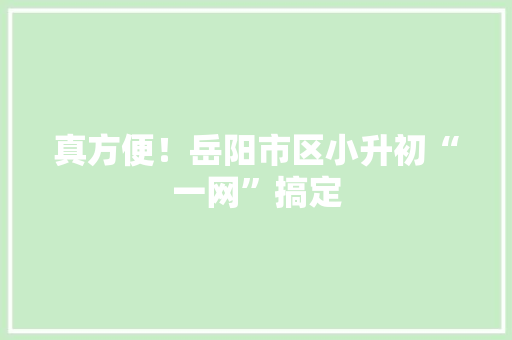 真方便！岳阳市区小升初“一网”搞定