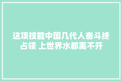 这项技能中国几代人奋斗终占领 上世界水都离不开