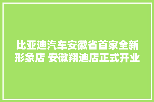 比亚迪汽车安徽省首家全新形象店 安徽翔迪店正式开业