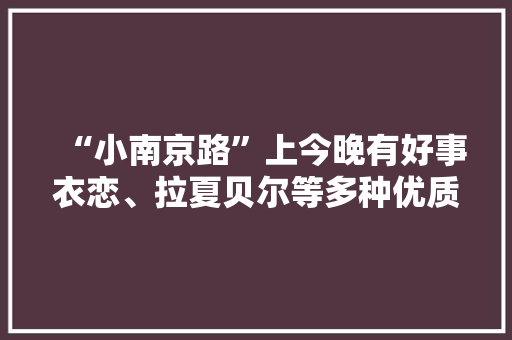 “小南京路”上今晚有好事衣恋、拉夏贝尔等多种优质商品全网最低价……