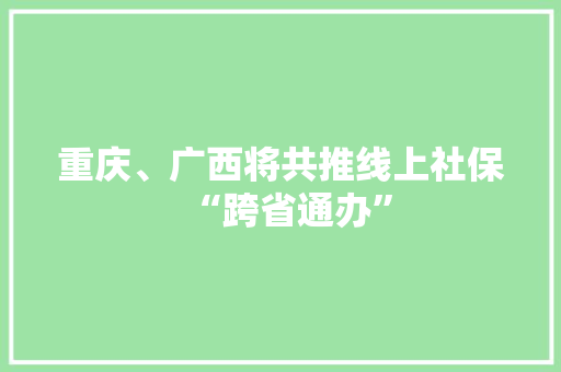 重庆、广西将共推线上社保“跨省通办”