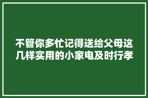 不管你多忙记得送给父母这几样实用的小家电及时行孝