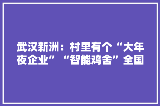 武汉新洲：村里有个“大年夜企业”“智能鸡舍”全国俏销