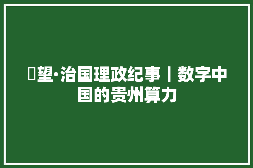 瞭望·治国理政纪事丨数字中国的贵州算力