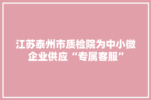 江苏泰州市质检院为中小微企业供应“专属客服” 江苏泰州市质检院为中小微企业供应“专属客服” 智能科技