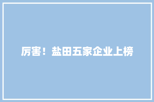 厉害！盐田五家企业上榜