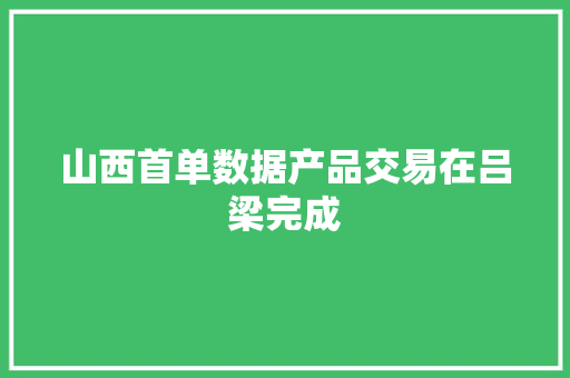 山西首单数据产品交易在吕梁完成