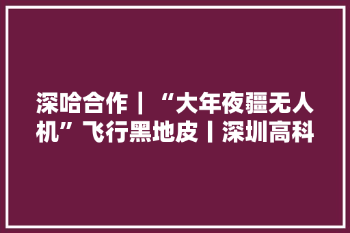 深哈合作｜“大年夜疆无人机”飞行黑地皮丨深圳高科技护航“北大年夜仓”