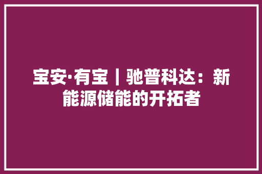 宝安·有宝｜驰普科达：新能源储能的开拓者 宝安·有宝｜驰普科达：新能源储能的开拓者 智能科技