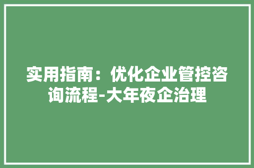 实用指南：优化企业管控咨询流程-大年夜企治理