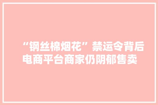 “钢丝棉烟花”禁运令背后电商平台商家仍阴郁售卖