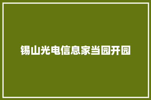 锡山光电信息家当园开园