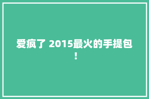 爱疯了 2015最火的手提包！