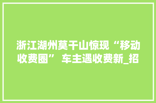 浙江湖州莫干山惊现“移动收费圈” 车主遇收费新_招引热议