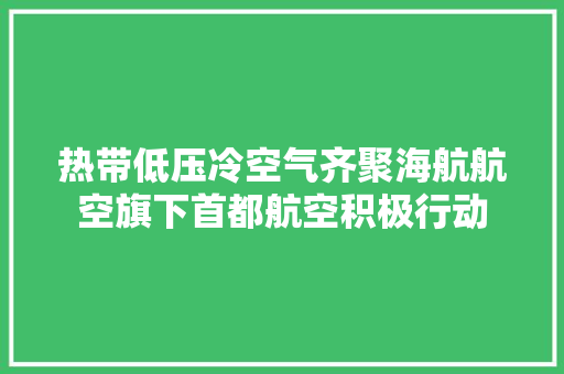 热带低压冷空气齐聚海航航空旗下首都航空积极行动 热带低压冷空气齐聚海航航空旗下首都航空积极行动 人工智能