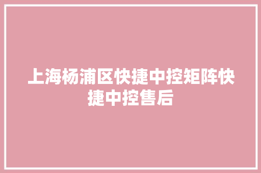 上海杨浦区快捷中控矩阵快捷中控售后 上海杨浦区快捷中控矩阵快捷中控售后 人工智能