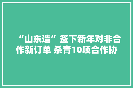 “山东造”签下新年对非合作新订单 杀青10项合作协议