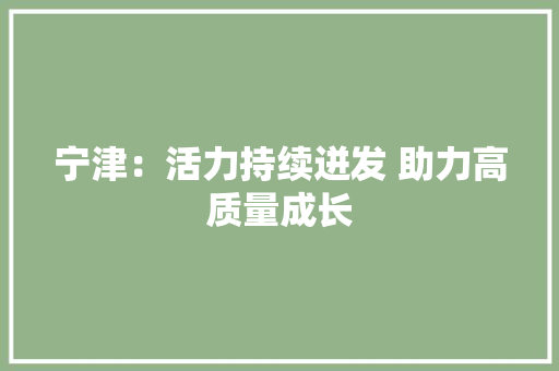 宁津：活力持续迸发 助力高质量成长 宁津：活力持续迸发 助力高质量成长 智能科技