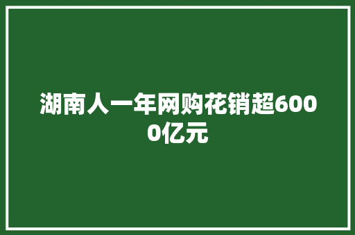湖南人一年网购花销超6000亿元