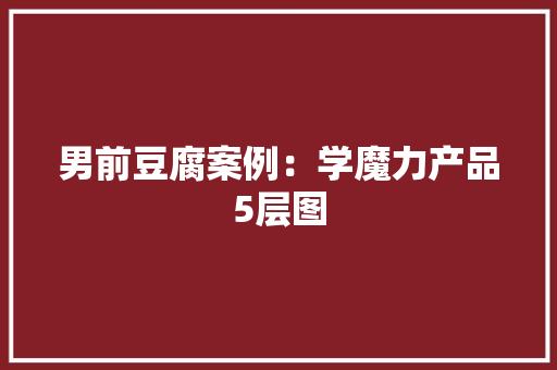 男前豆腐案例：学魔力产品5层图
