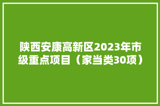 陕西安康高新区2023年市级重点项目（家当类30项）
