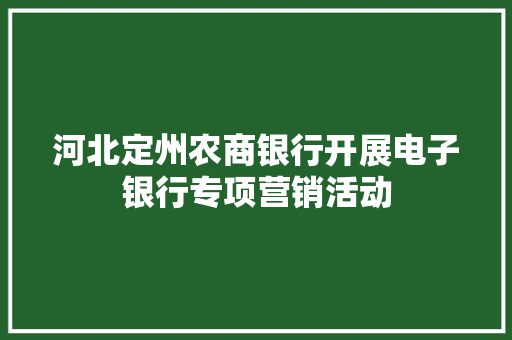 河北定州农商银行开展电子银行专项营销活动